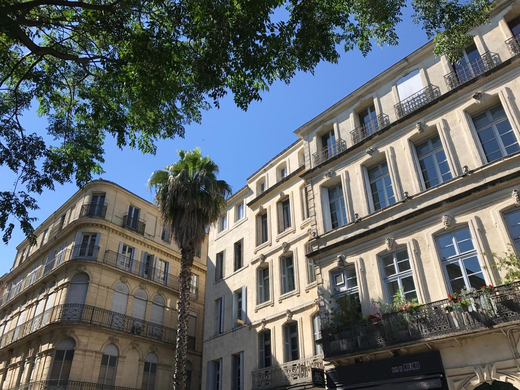 Home Chic Home - La Terrasse Bazille - Netflix มงต์เปอลิเยร์ ภายนอก รูปภาพ
